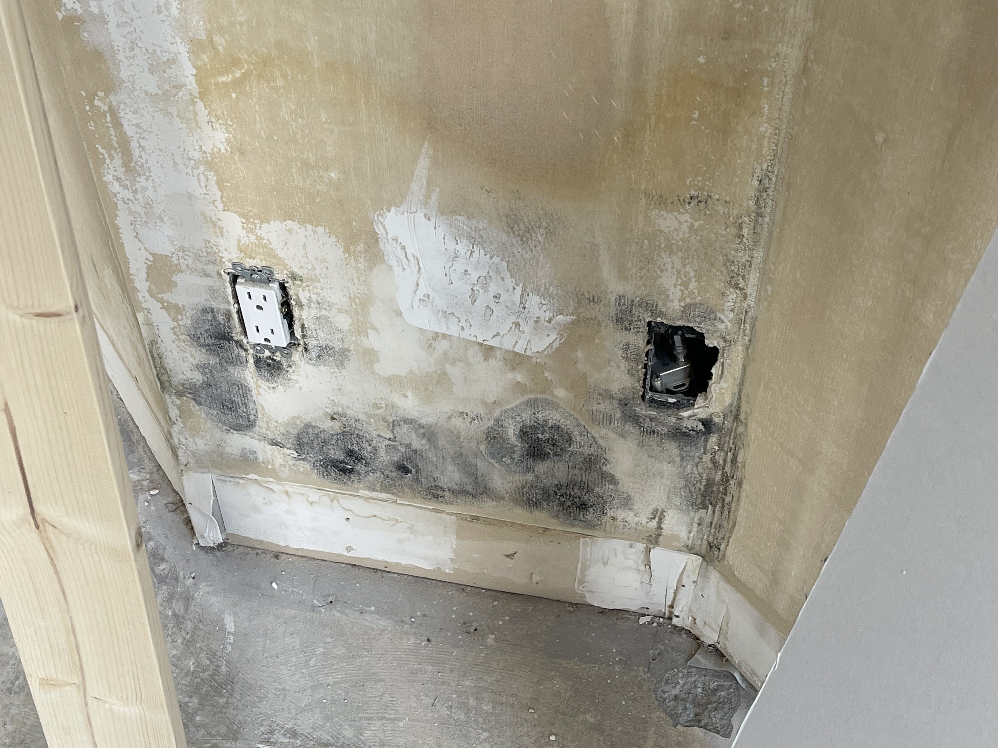 Mold damage from hidden leaks